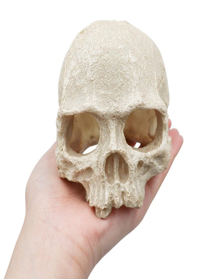 Oooct Snake Hideout, Reptile Aquarium Skull Decor, Resin Skeleton Head Fish Hide, Tank Terrarium Accessories, Reptile Hides and Caves for Fish Bearded Dragon Ball Python Leopard Gecko 4.7 × 3.5 × 3.7 Inch - Image 4